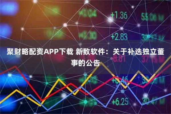 聚财略配资APP下载 新致软件：关于补选独立董事的公告