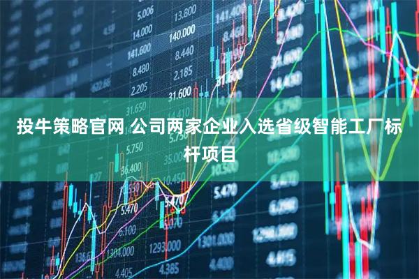 投牛策略官网 公司两家企业入选省级智能工厂标杆项目